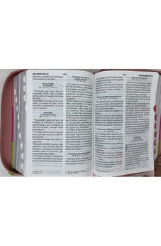 Image of Biblia RVR 1960 Letra Grande Compacta 11 Puntos Tricolor Rosa Lima Fucsia Símil Piel con Índice y Cierre