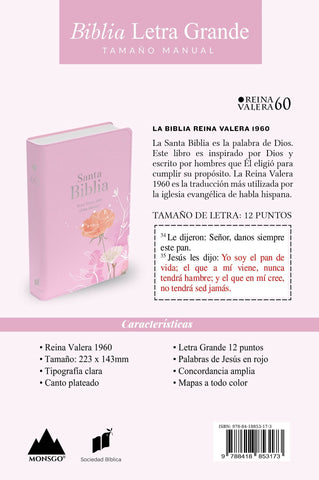 Image of Biblia RVR 1960 Letra Grande Tamaño Manual Símil Piel Rosa