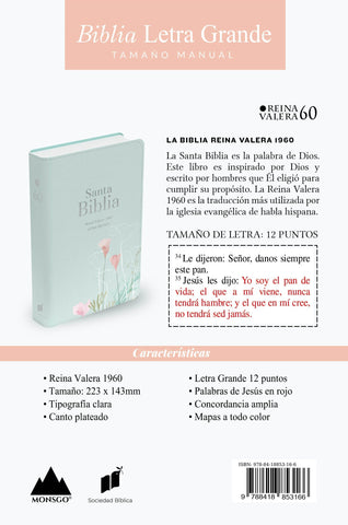 Image of Biblia RVR 1960 Letra Grande Tamaño Manual Símil Piel Menta Fresca