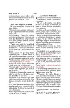 Image of Biblia RVR 1960 Compacta Símil Piel Flores Azul Verde