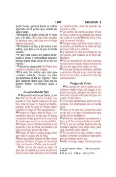 Image of Biblia RVR 1960 Compacta Símil Piel Flores Azul Grisáceo