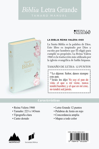 Image of Biblia RVR 1960 Letra Grande Tamaño Manual Símil Piel Salvia Claro