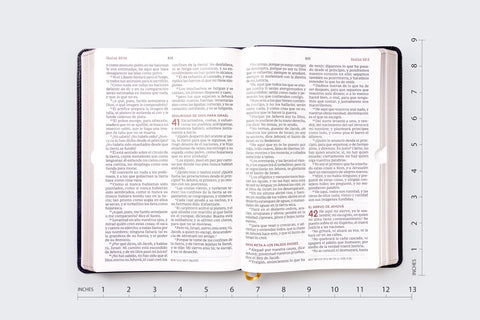 Image of Biblia RVR 1960 del Ministro Letra Gigante Piel Negro