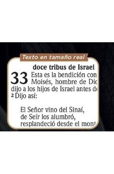 Image of Biblia RVR 2020 Letra Grande Brújula Rústica