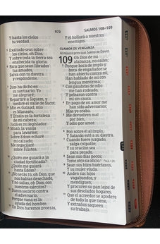 Image of Biblia RVR 1960 Letra Ultra Súper Gigante 19 Puntos Piel Marrón Duotono con Cierre e Índice