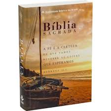 Bíblia Em Portugués NTLH capa brochura impressa