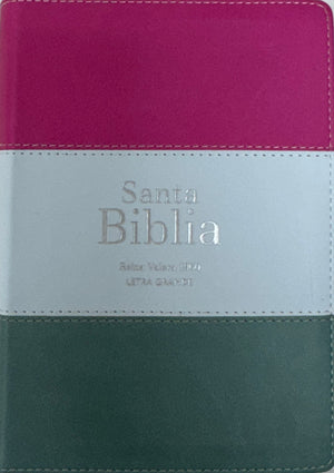 Biblia RVR 1960 Compacta Letra Grande 11 puntos Símil Piel Magenta Verde Glacial Verde Grisaceo con Cierre y Índice