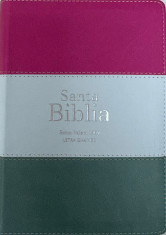 Image of Biblia RVR 1960 Compacta Letra Grande 11 puntos Símil Piel Magenta Verde Glacial Verde Grisaceo con Cierre y Índice
