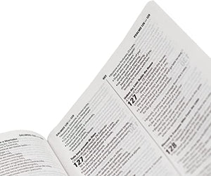 Bíblia Bilíngue Portugués ESV NAA Inglés