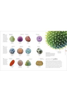 Image of Vida Microscópica