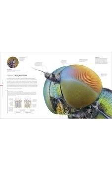 Image of Vida Microscópica