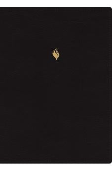Biblia RVR 1960 de Estudio de la Vida Plena Edición Clásica Piel Negro con Índice y Cierre