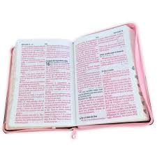 Biblia RVR 1960 Tapa PU Rosa Marrón Quinceañera