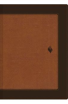 Biblia RVR 1960 de Estudio de la Vida Plena Piel dos Tonos Café