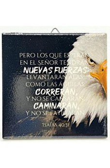 Plaqué Cerámico. Nuevas Fuerzas