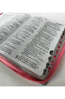 Image of Biblia RVR 1960 Letra Súper Gigante Rosa Gris Turquesa con Cierre e Índice