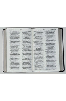 Biblia RVR 1960 Letra Grande Tamaño Manual Negro Vinilo