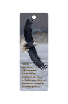 Aguila Separador en 3D Unisex Bilingüe