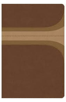 Image of Biblia RVR 1960 de Estudio Arco Iris Símil Piel Canela Damasco