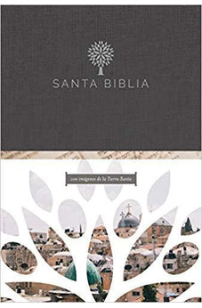Biblia RVR 1960 Tamaño Grande Letra Grande Tapa Dura