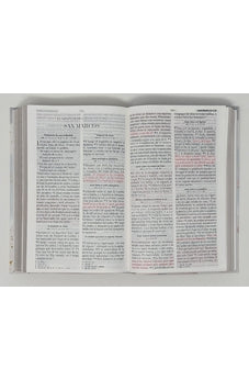 Biblia RVR 1960 Letra Grande Tamaño Manual Tapa Flex Pastel Rama Flores