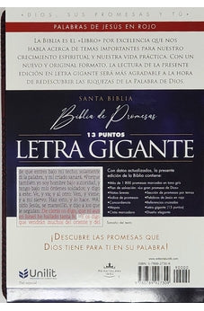 Image of Biblia RVR 1960 de Promesas Letra Gigante Marron Líneas Simil Piel