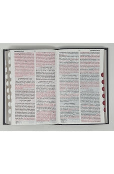 Image of Biblia RVR 1960 Letra Grande Tamaño Manual Tapa Flex Duotone Marron Beige con Índice