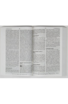 Image of Biblia RVR 1960 de Promesas Letra Gigante Marron Líneas Rústica